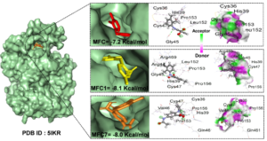 Structural modification of mefenamic acid to enhance medicinal efficacy and reduce toxicological effect: a DFT and in-silico study