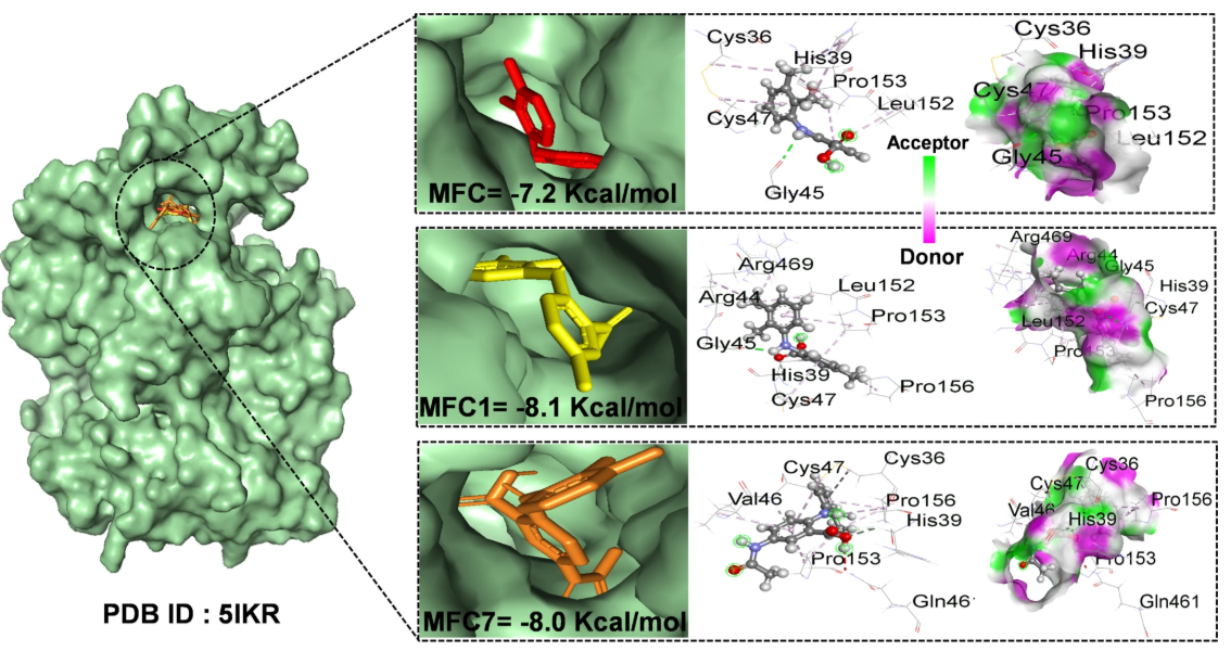Structural modification of mefenamic acid to enhance medicinal efficacy and reduce toxicological effect: a DFT and in-silico study