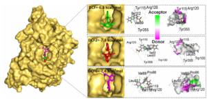 Structural tuning of diclofenac for enhanced medicinal efficacy and reduced adverse effects: an integrating computational validation